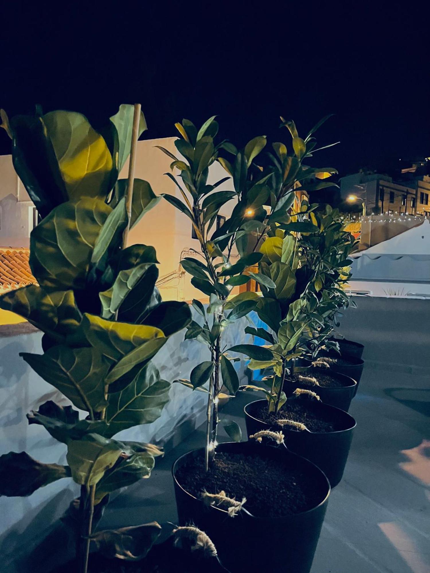 Plaza De La Fuente Granadilla De Abona Tenerife Sur Only Adults Con Terraza Privada Luaran gambar